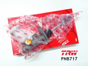 PNB717